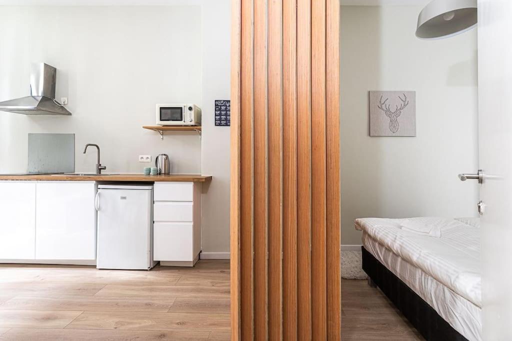 Van Lerius Studio Antwerpen Kültér fotó